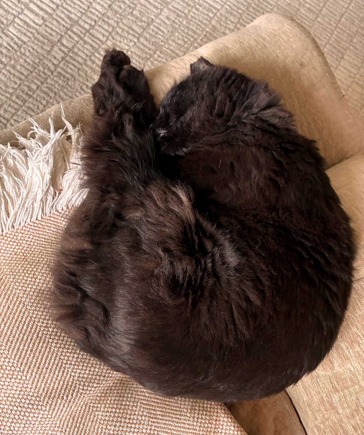 Black cat curled up asleep on a recliner footrest.